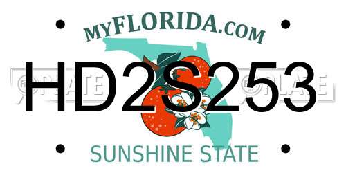 HD2S253 Florida License Plate