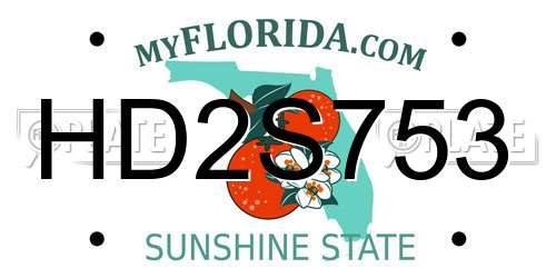 HD2S753 Florida License Plate