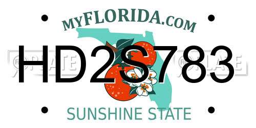 HD2S783 Florida License Plate
