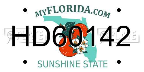 HD60142 Florida License Plate