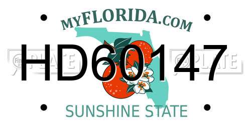 HD60147 Florida License Plate