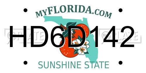 HD6D142 Florida License Plate
