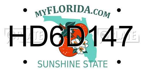 HD6D147 Florida License Plate