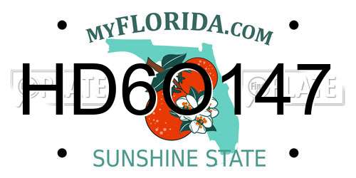 HD6O147 Florida License Plate