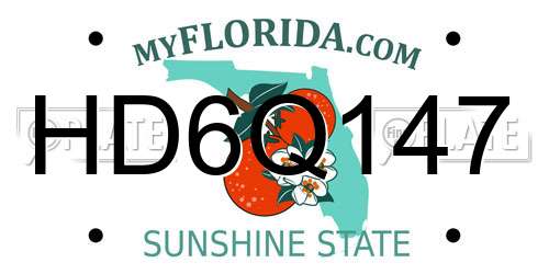 HD6Q147 Florida License Plate