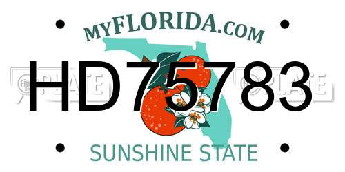 HD75783 Florida License Plate