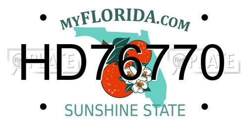 HD76770 Florida License Plate