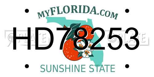 HD78253 Florida License Plate
