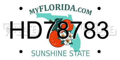HD78783 Florida License Plate