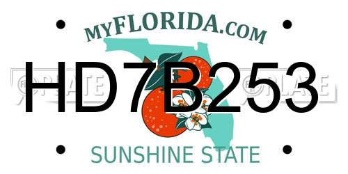 HD7B253 Florida License Plate