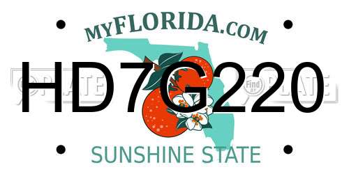 HD7G220 Florida License Plate