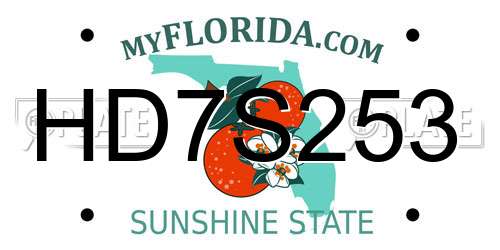 HD7S253 Florida License Plate