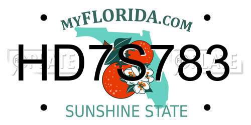 HD7S783 Florida License Plate