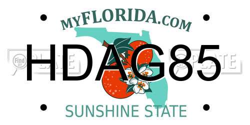 HDAG85 Florida License Plate
