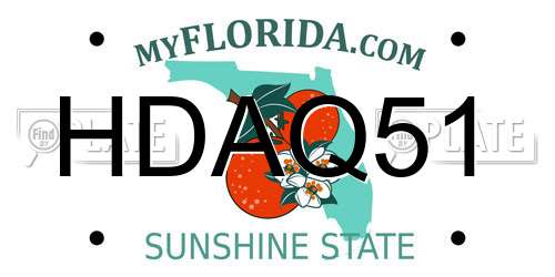 HDAQ51 Florida License Plate