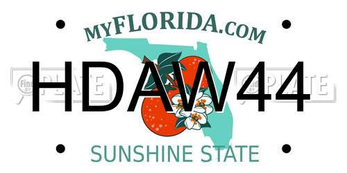 HDAW44 Florida License Plate