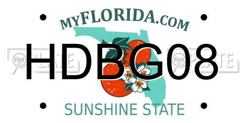 HDBG08 Florida License Plate