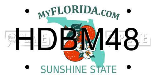 HDBM48 Florida License Plate