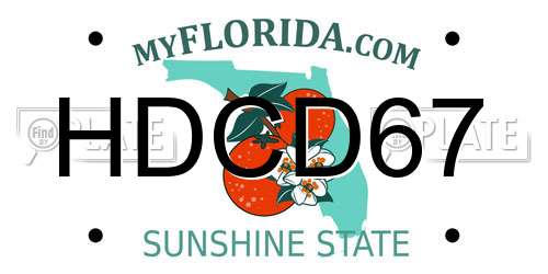 HDCD67 Florida License Plate