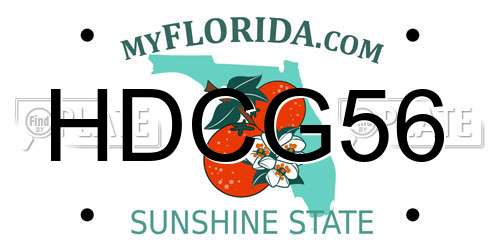 HDCG56 Florida License Plate