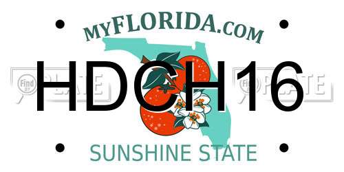 HDCH16 Florida License Plate