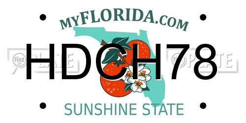 HDCH78 Florida License Plate