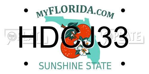 HDCJ33 Florida License Plate