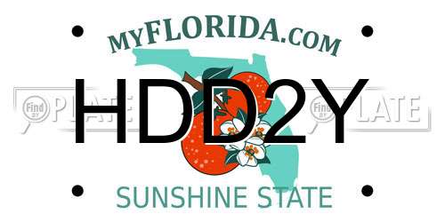 HDD2Y Florida License Plate