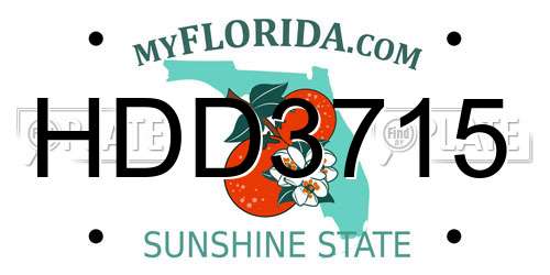 HDD3715 Florida License Plate