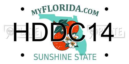 HDDC14 Florida License Plate
