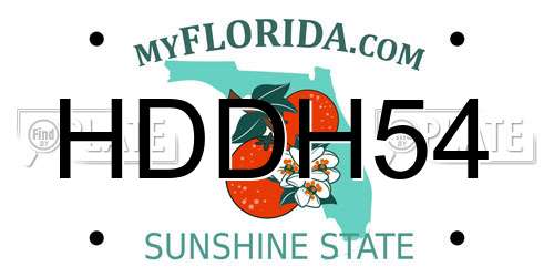 HDDH54 Florida License Plate