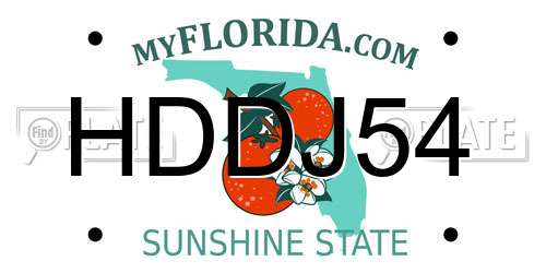 HDDJ54 Florida License Plate