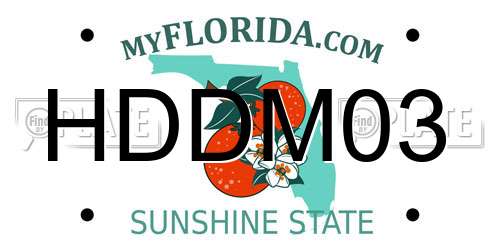 HDDM03 Florida License Plate