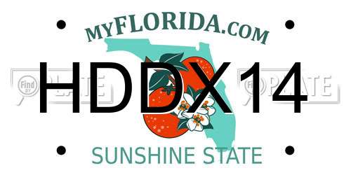 HDDX14 Florida License Plate