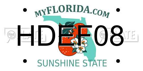 HDEF08 Florida License Plate