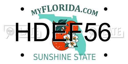 HDEF56 Florida License Plate