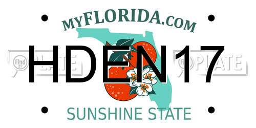 HDEN17 Florida License Plate