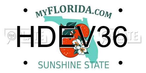 HDEV36 Florida License Plate