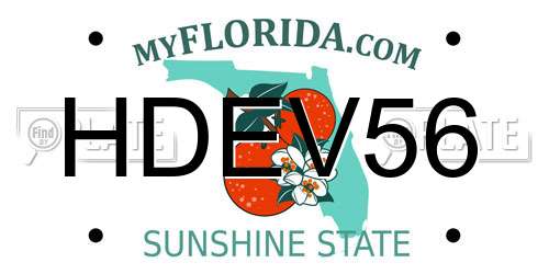 HDEV56 Florida License Plate