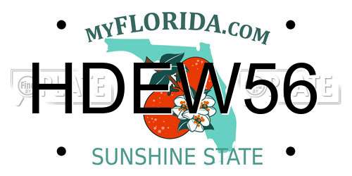 HDEW56 Florida License Plate