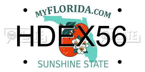 HDEX56 Florida License Plate