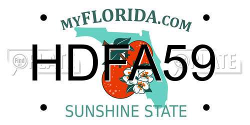 HDFA59 Florida License Plate