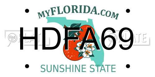 HDFA69 Florida License Plate
