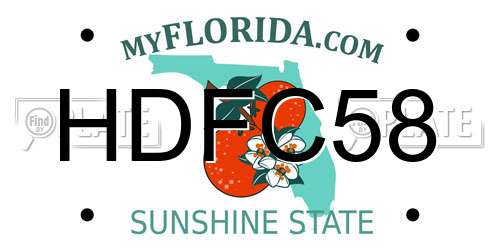 HDFC58 Florida License Plate