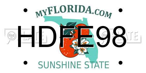 HDFE98 Florida License Plate
