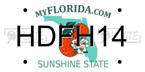 HDFH14 Florida License Plate