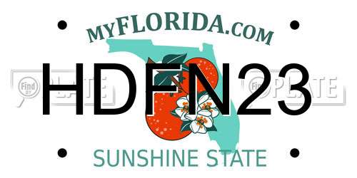 HDFN23 Florida License Plate