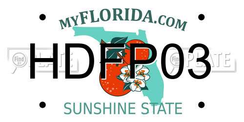 HDFP03 Florida License Plate