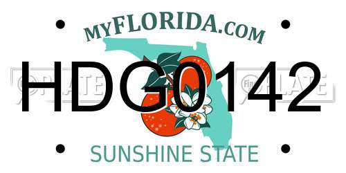 HDG0142 Florida License Plate