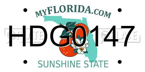 HDG0147 Florida License Plate